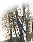 Ste-Agathe: Quebec: Laurentians: lodging, hotels, inns, bed and breakfast, restaurants,
snowmobile, mt-tremblant park, cross country skiing, alpine ski, hotel, inn.
